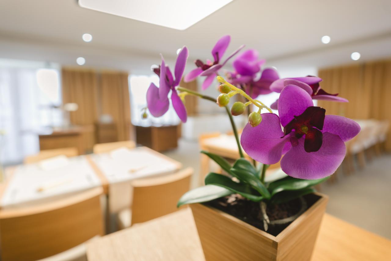 Village Resort Hanuliak Belá Екстериор снимка